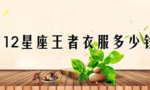 12星座王者衣服多少钱