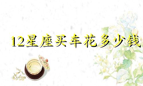 12星座买车花多少钱