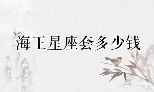 海王星座套多少钱