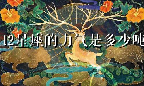 12星座的力气是多少吨