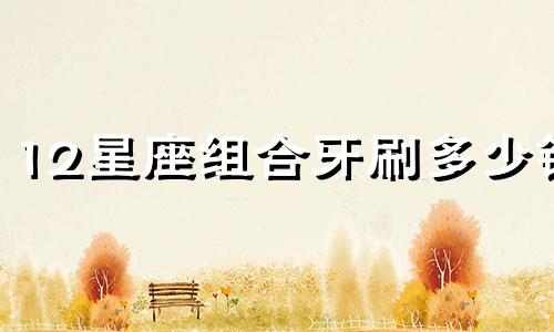 12星座组合牙刷多少钱