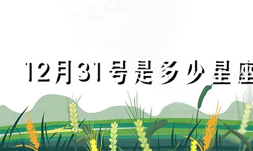 12月31号是多少星座