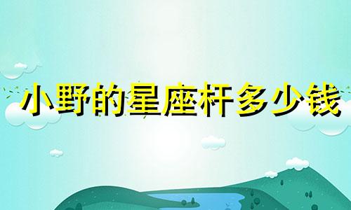 小野的星座杆多少钱