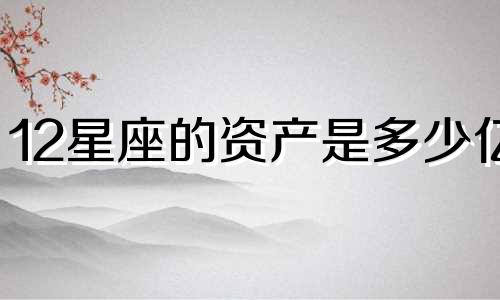 12星座的资产是多少亿
