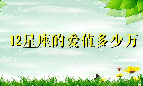 12星座的爱值多少万