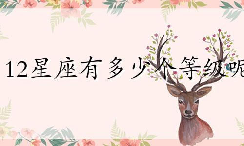 12星座有多少个等级呢
