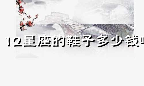 12星座的鞋子多少钱啊