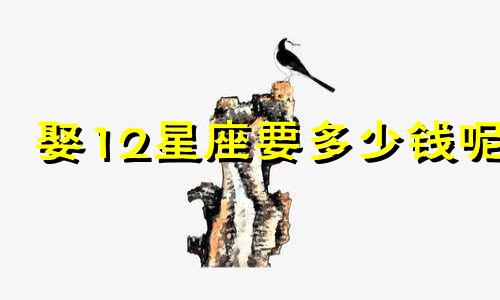 娶12星座要多少钱呢