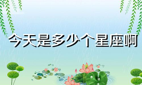 今天是多少个星座啊