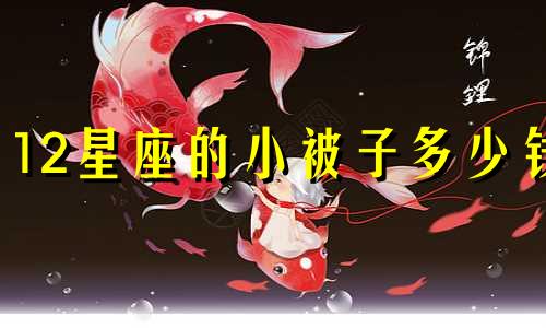 12星座的小被子多少钱