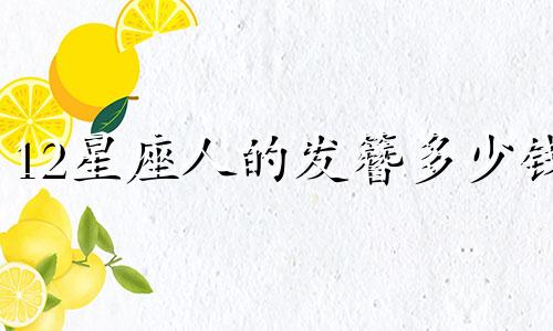 12星座人的发簪多少钱