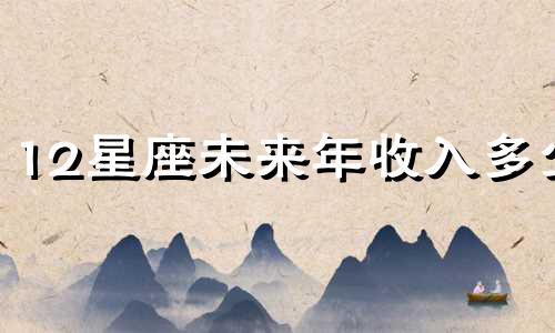 12星座未来年收入多少