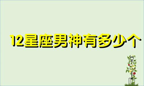 12星座男神有多少个
